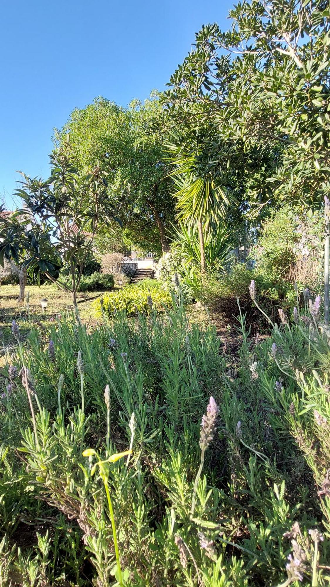 Holiday home Rota Do Viajante