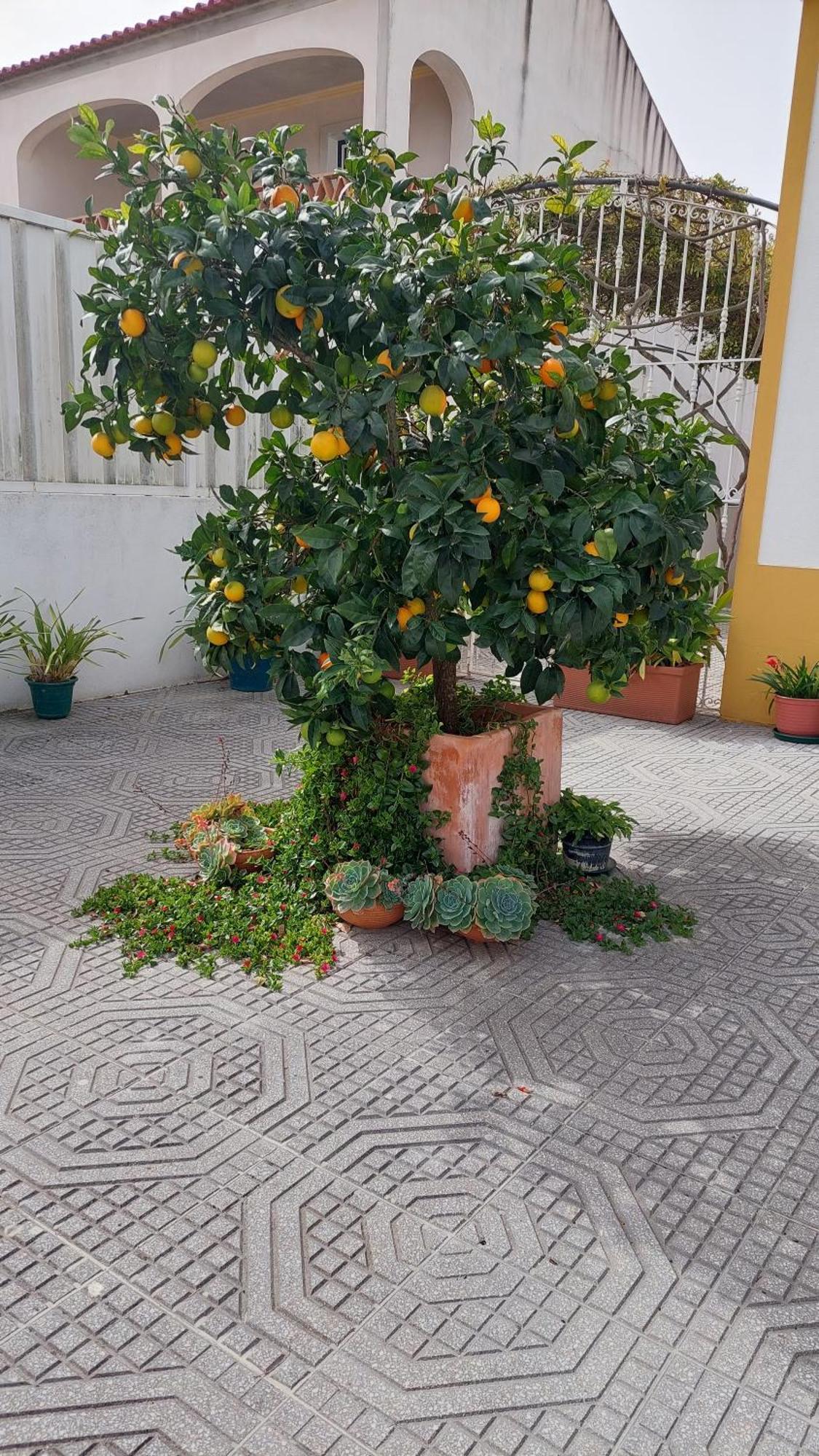 Holiday home Rota Do Viajante Alcacovas